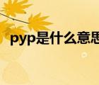 pyp是什么意思（网络上py的是什么意思）