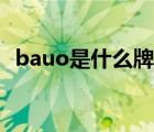 bauo是什么牌子电脑（bauo是什么牌子）