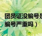 团员证没编号是不是相当没入团（团员证没有编号严重吗）