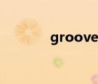 groove什么意思（groove）