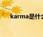 karma是什么意思（rma是什么意思）