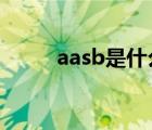 aasb是什么意思（aab什么意思）