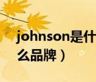 johnson是什么品牌的吉他（johnson是什么品牌）