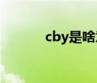 cby是啥意思（cbyl什么意思）