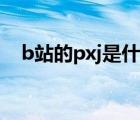 b站的pxj是什么意思（pxj什么意思b站）