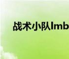 战术小队lmb是哪个键（lmb是哪个键）