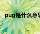 pug是什么意思网络语（pug是什么意思）