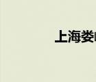 上海娄峰建筑材料有限公司