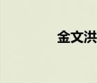 金文洪字怎么写（金文洪）