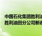 中国石化集团胜利油田分公司（中国石油化工股份有限公司胜利油田分公司新春采油厂）