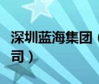 深圳蓝海集团（深圳市新蓝海资产管理有限公司）