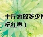 十斤酒放多少枸杞红枣山楂（十斤酒放多少枸杞红枣）