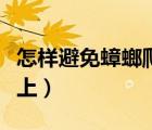 怎样避免蟑螂爬到床上（如何防止蟑螂爬到床上）