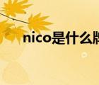 nico是什么牌子的（nico是什么牌子）