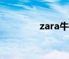 zara牛仔包（zara猪猪包）