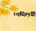 cq和py是啥意思（cqy什么意思）