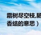 霜树尽空枝,肠断丁香结的意思（殷勤解却丁香结的意思）