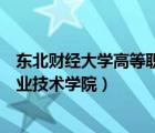 东北财经大学高等职业技术学院教师（东北财经大学高等职业技术学院）