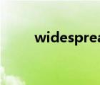 widespread名词（widespread）