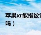 苹果xr能指纹识别吗（iphone xr有指纹识别吗）