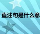 直述句是什么意思视频（直述句是什么意思）