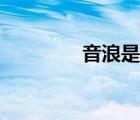 音浪是什么（音浪是什么）