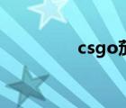 csgo茄子（csgo黑刀号）