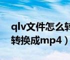 qlv文件怎么转换成mp4格式（qlv文件怎么转换成mp4）