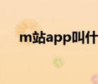 m站app叫什么（m站app叫什么名字）