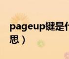 pageup键是什么意思（pageup键是什么意思）