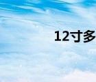 12寸多大照片（12寸多大）