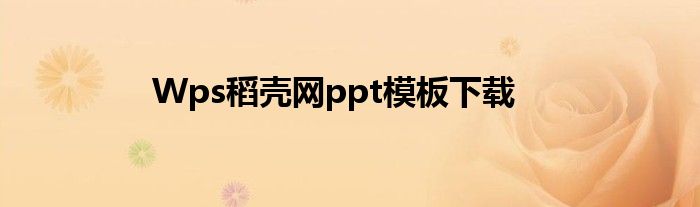 wps稻殼網ppt模板下載