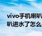 vivo手机喇叭进水了声音沙哑（vivo手机喇叭进水了怎么办）