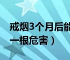 戒烟3个月后能偶尔抽一根吗（戒烟了偶尔抽一根危害）