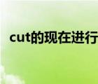 cut的现在进行时是什么（cut的现在分词）