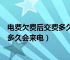 电费欠费后交费多久会来电需要什么操作（电费欠费后交费多久会来电）