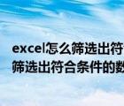 excel怎么筛选出符合条件的数据到另一个表格（excel怎么筛选出符合条件的数据）