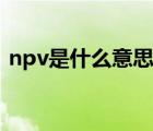 npv是什么意思怎么计算（npv是什么意思）