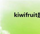 kiwifruit是什么意思（kiwifruit）