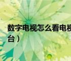 数字电视怎么看电视台直播回放节目（数字电视怎么看电视台）