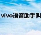 vivo语音助手叫什么（vivo语音助手叫什么）