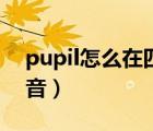 pupil怎么在四线三格中书写（pupil怎么读音）