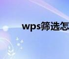 wps筛选怎么用（wps筛选怎么用）