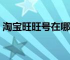 淘宝旺旺号在哪里看（淘宝旺旺号在哪里看）