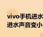 vivo手机进水声音变小怎么处理（vivo手机进水声音变小）