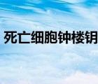 死亡细胞钟楼钥匙位置（死亡细胞钟楼钥匙）