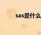 sas是什么意思（sas是什么意思）