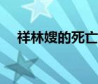 祥林嫂的死亡报告（祥林嫂的死因分析）