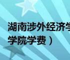 湖南涉外经济学院学费一览表（湖南涉外经济学院学费）