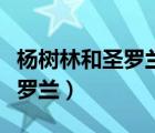 杨树林和圣罗兰气垫有什么区别（杨树林和圣罗兰）